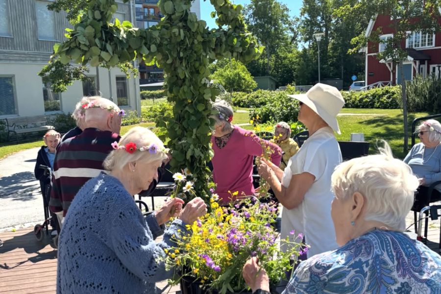 Boende på äldreboende i solig trädgård hjälps åt dekorera midsommarstång