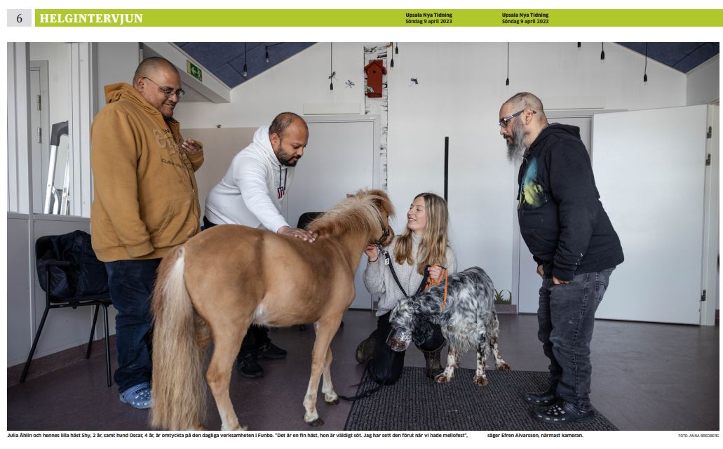 Artikel p&#229; unt.se